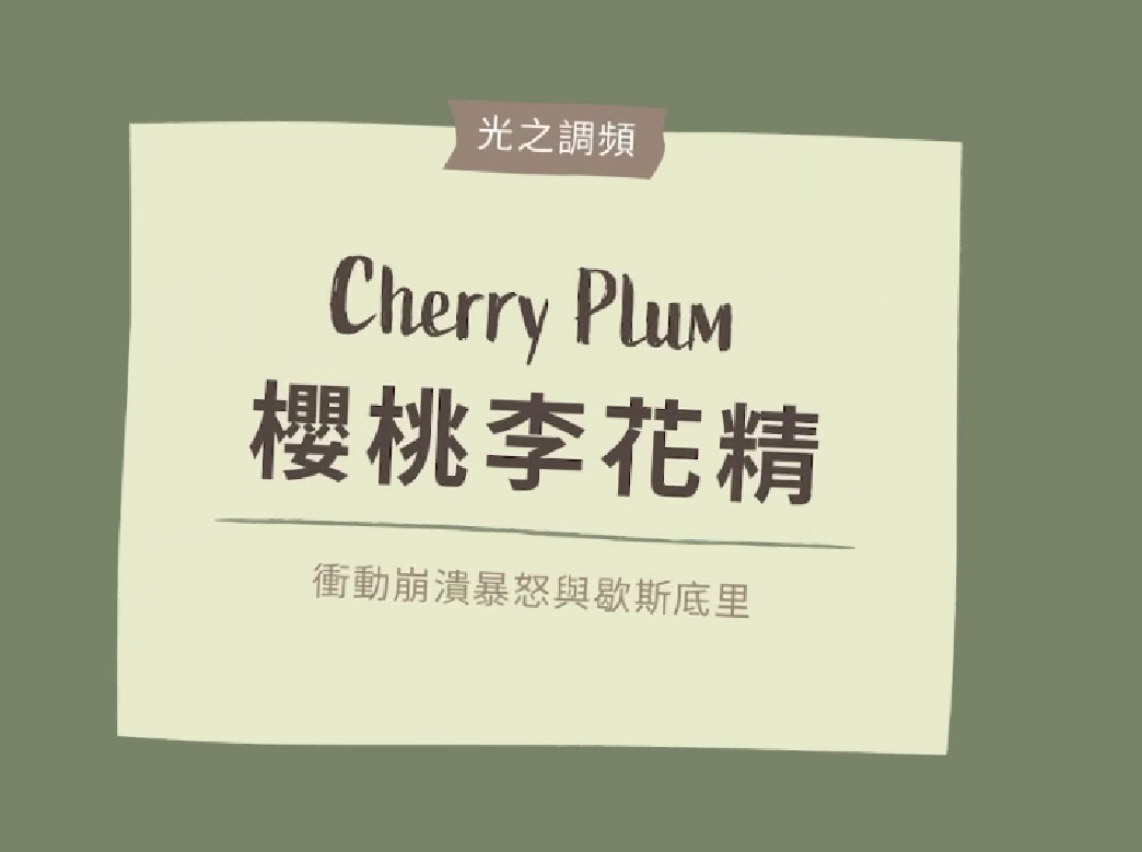 Read more about the article 櫻桃李 Cherry Plum (巴哈花精) 適合情緒快要爆炸想恢復理智的你