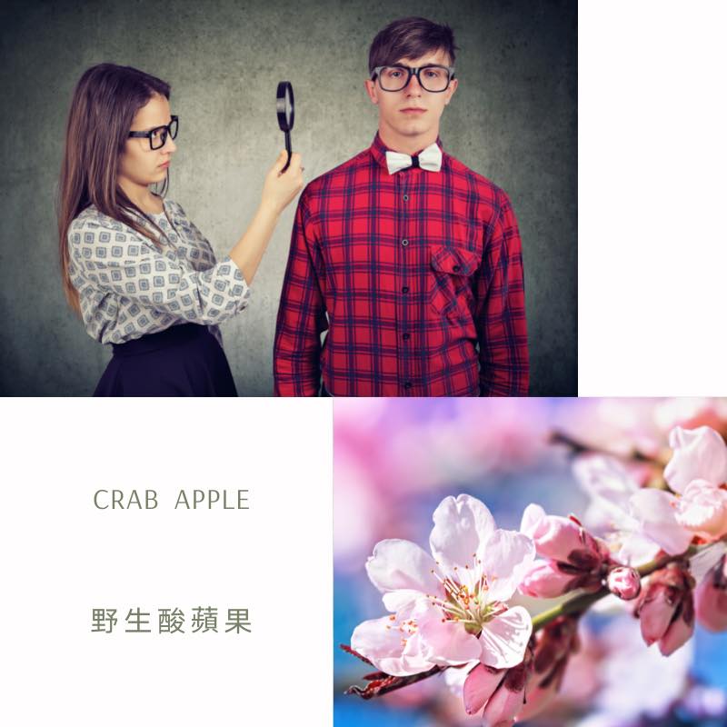 You are currently viewing 野生酸蘋果 Crab Apple (巴哈花精) 適合潔癖挑剔追求完美的你