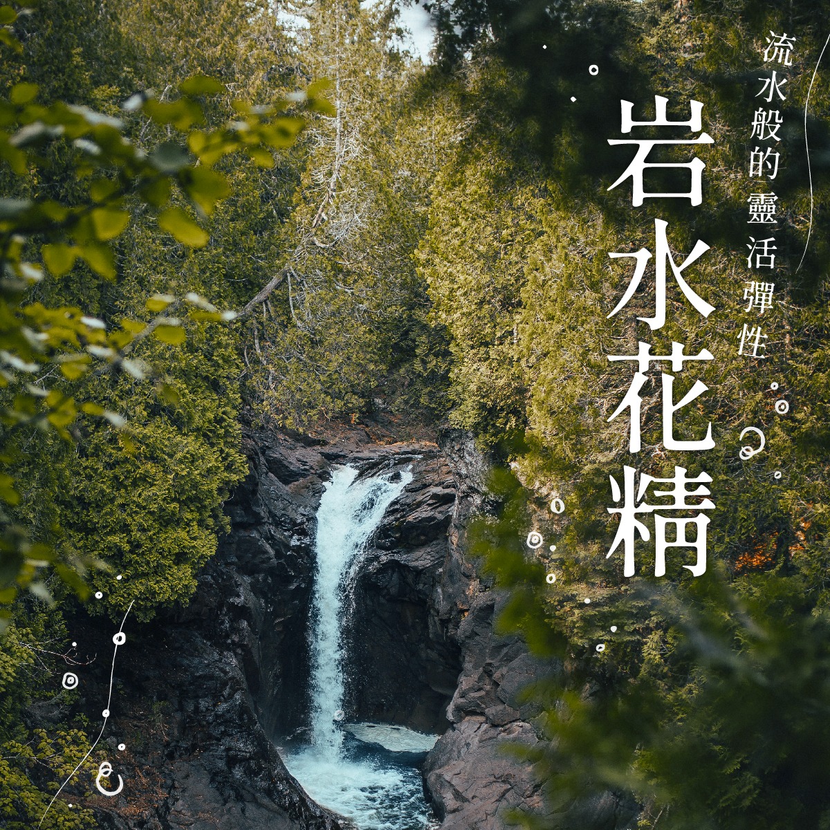 Read more about the article 岩水 Rock Water (巴哈花精) 適合嚴謹規律需要彈性與空間的你