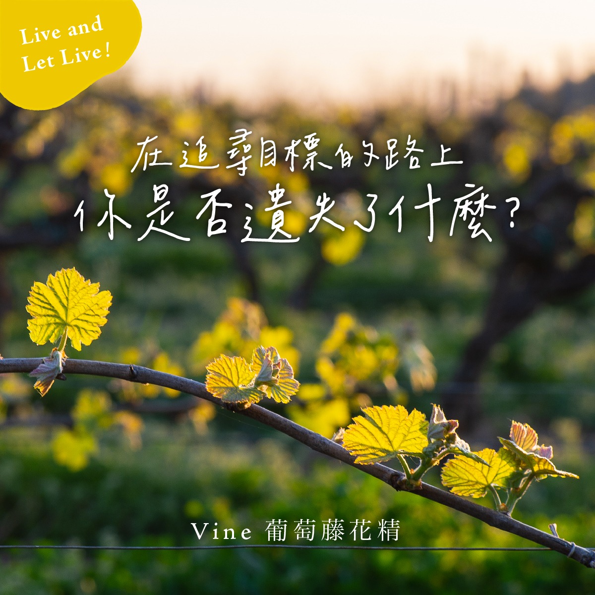 You are currently viewing 葡萄藤 Vine (巴哈花精) 適合控制慾強無法忍受不確定性的你