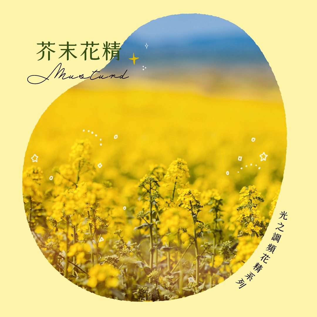 Read more about the article 芥末 Mustard (巴哈花精) 適合莫名憂鬱低潮想走出烏雲籠罩的你