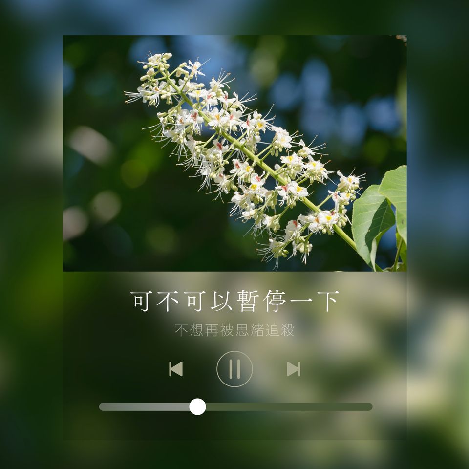 You are currently viewing 白栗花 White Chestnut (巴哈花精) 適合思緒過多導致失眠需要清空繁雜念頭的你