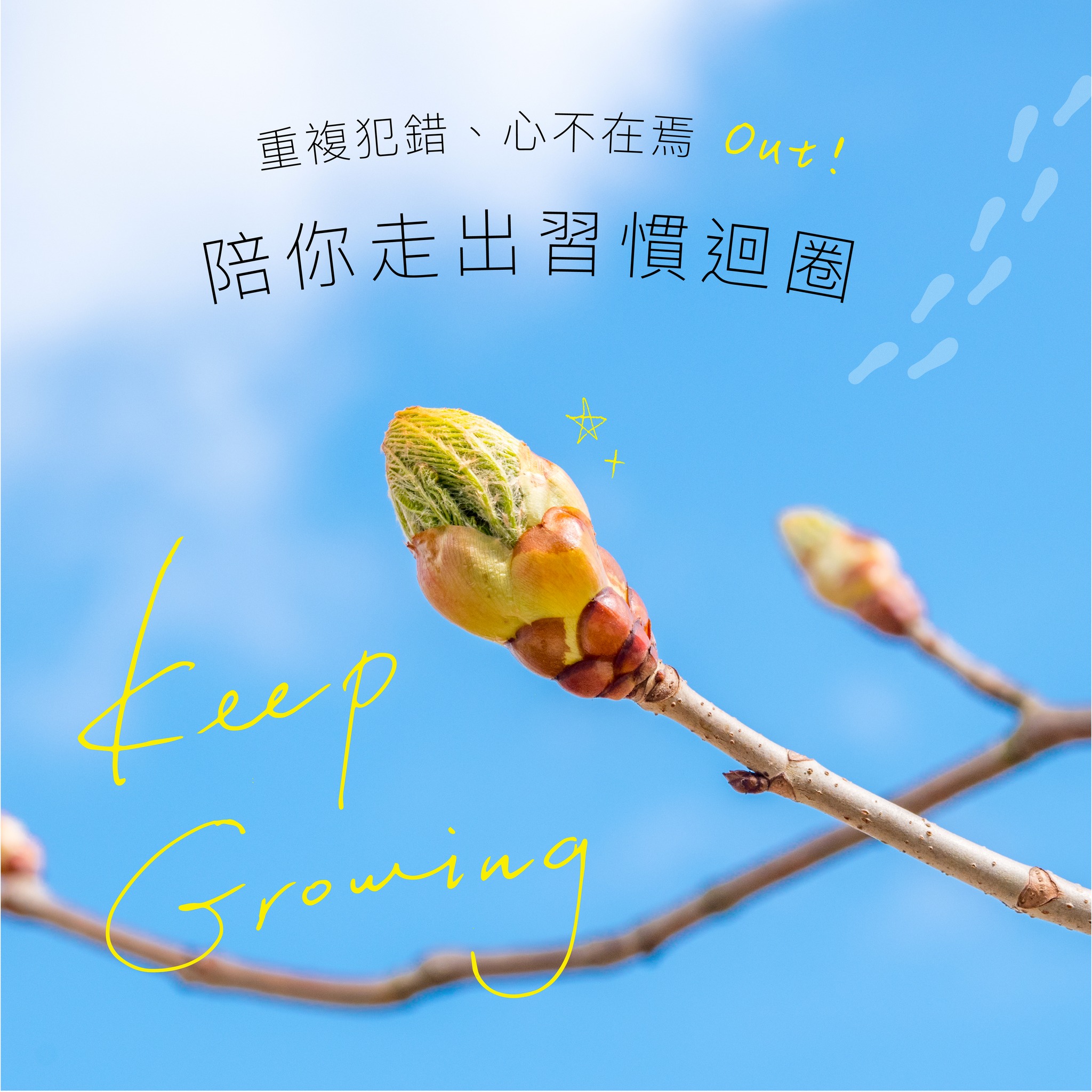 You are currently viewing 栗樹芽苞 Chestnut Bud (巴哈花精) 適合常分心健忘重蹈覆轍需要決心與持續專注力的你