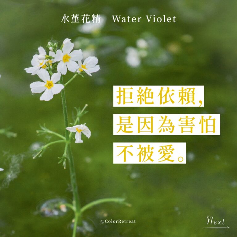 Read more about the article 水堇 Water Violet (巴哈花精) 適合疏離人群孤單封閉需要卸下武裝敞開心房的你