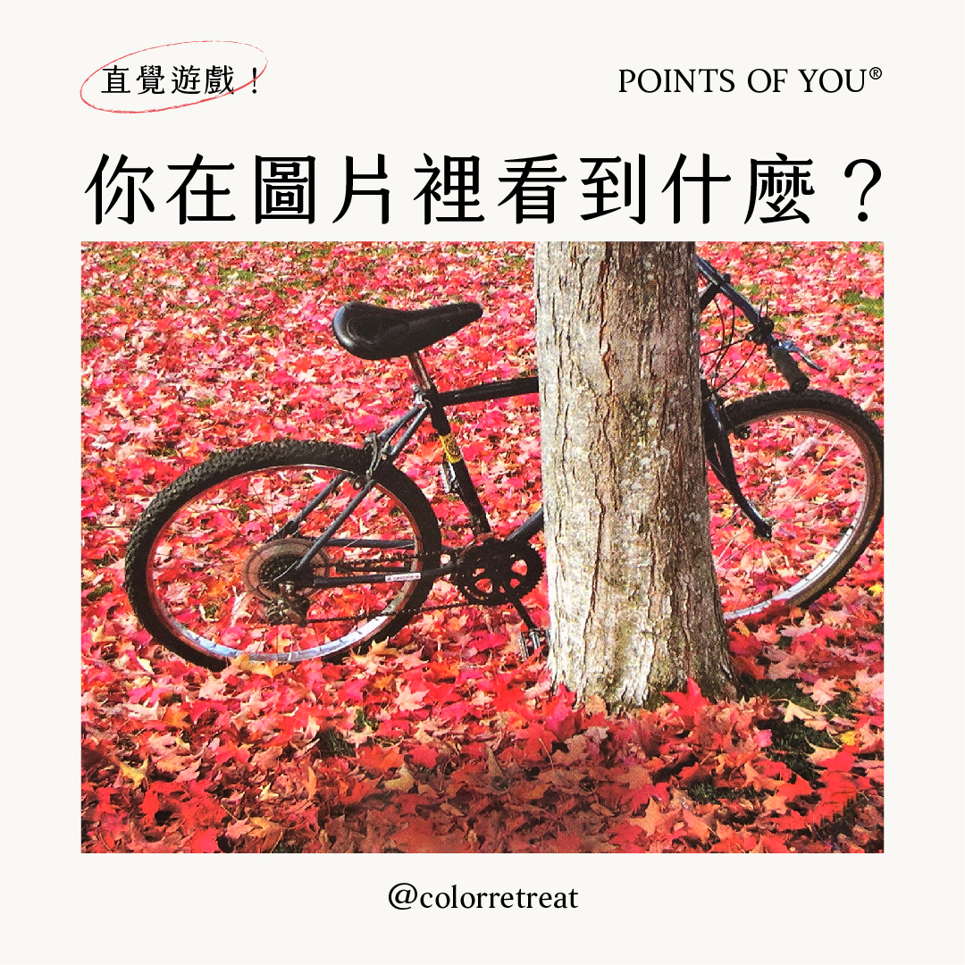 You are currently viewing Points of You (POY) 直覺圖像牌卡練習 – 暫停 Pause